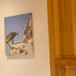 Goscinne Ava Gliczarów