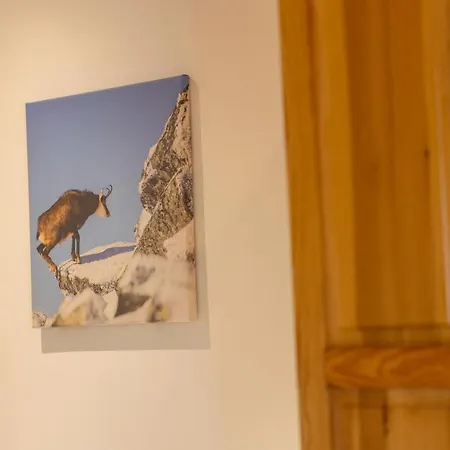 Goscinne Ava Gliczarów