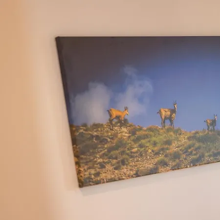 Farmház Goscinne Ava *