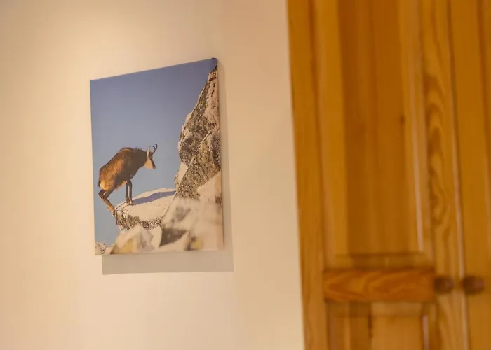 Goscinne Ava Gliczarów