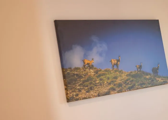 Gospodarstwo agroturystyczne Gościnne Ava *